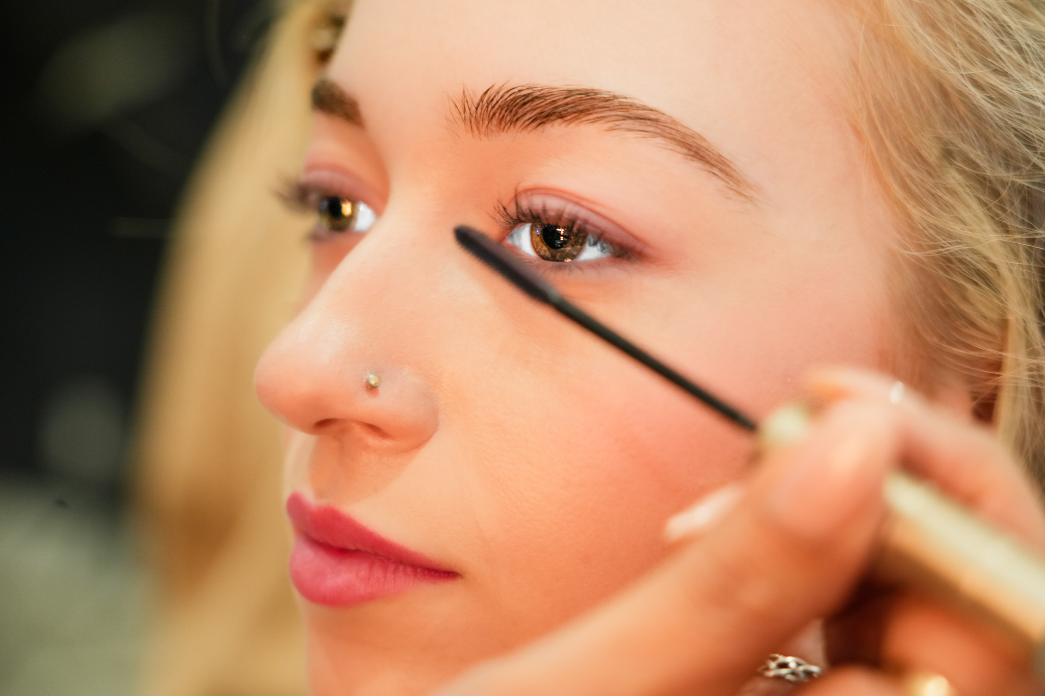 Making of the model